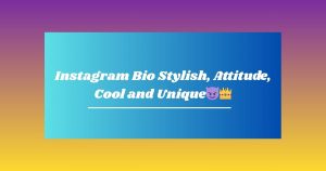 Instagram Bio Stylish, Attitude, Cool and Unique