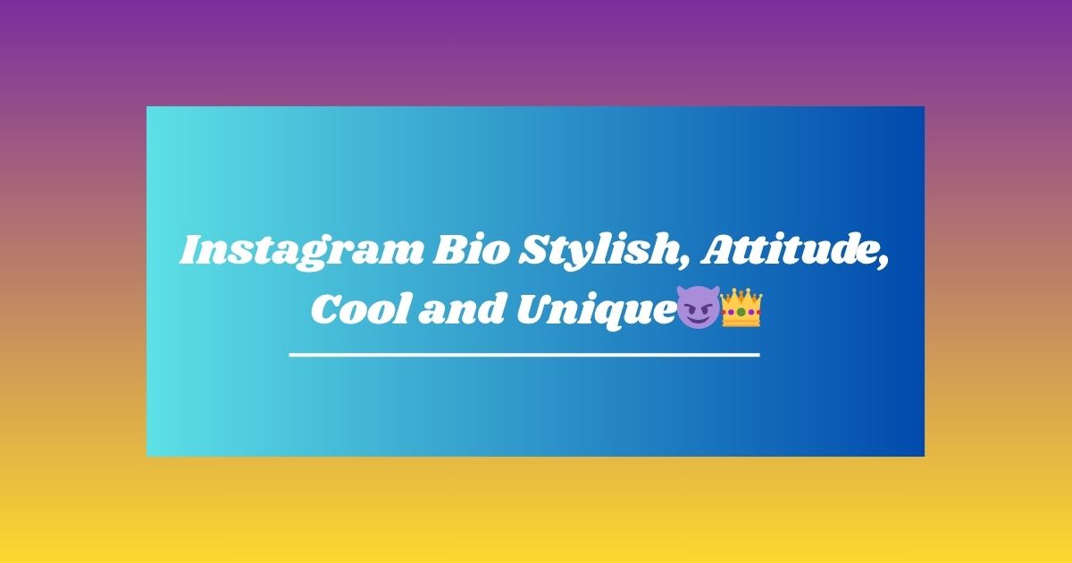 Instagram Bio Stylish, Attitude, Cool and Unique