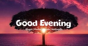 Good Evening Images