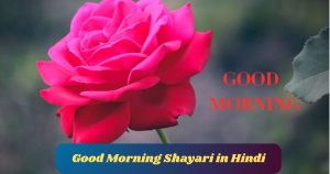 Good Morning Shayari in Hindi