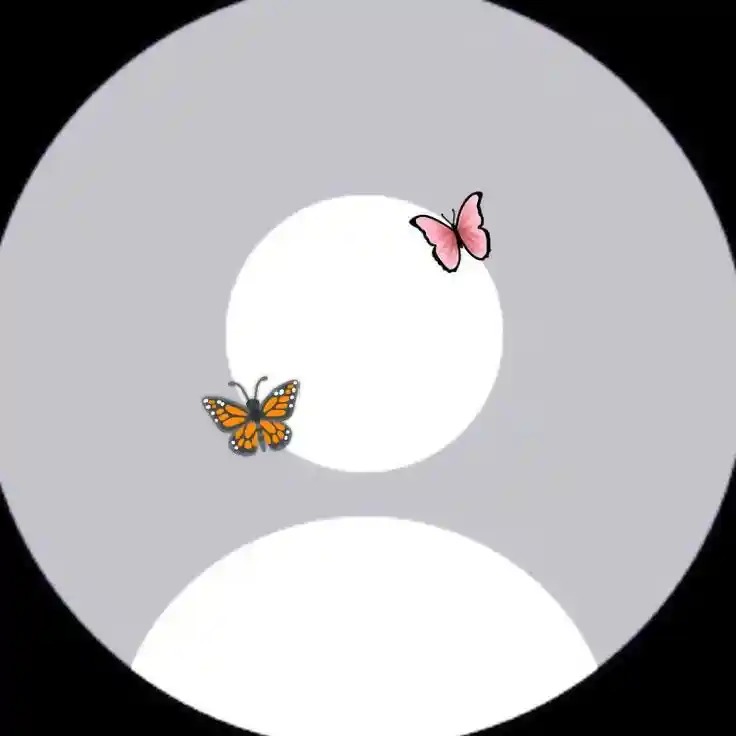 Instagram No DP Icon Broken