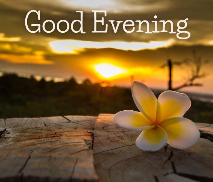artistic good evening images