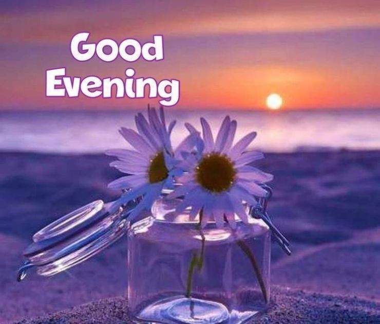 good evening flowers images