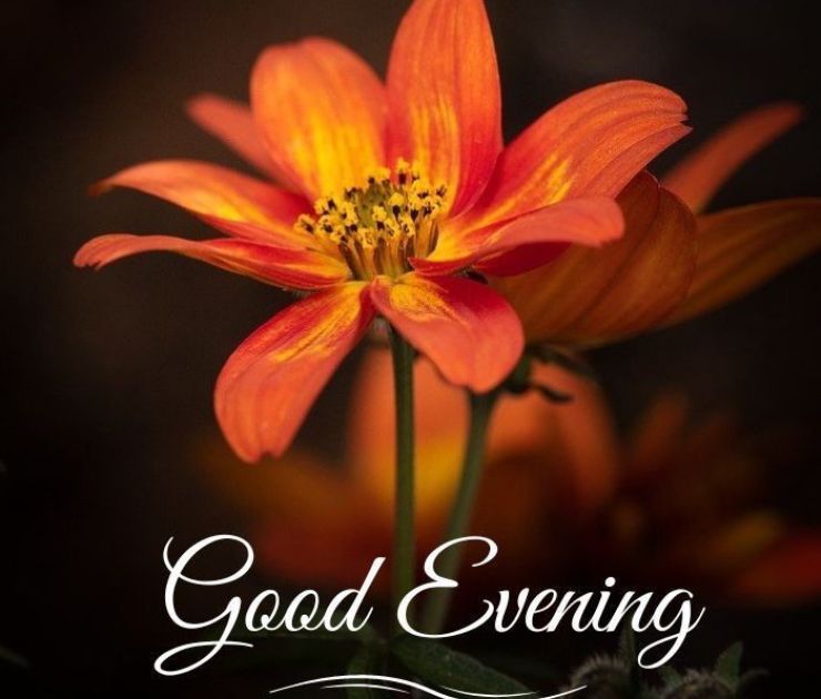 good evening images hd download