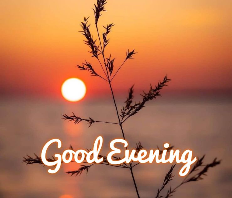 good evening love images