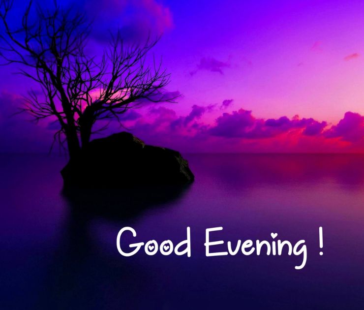 good evening nature pics