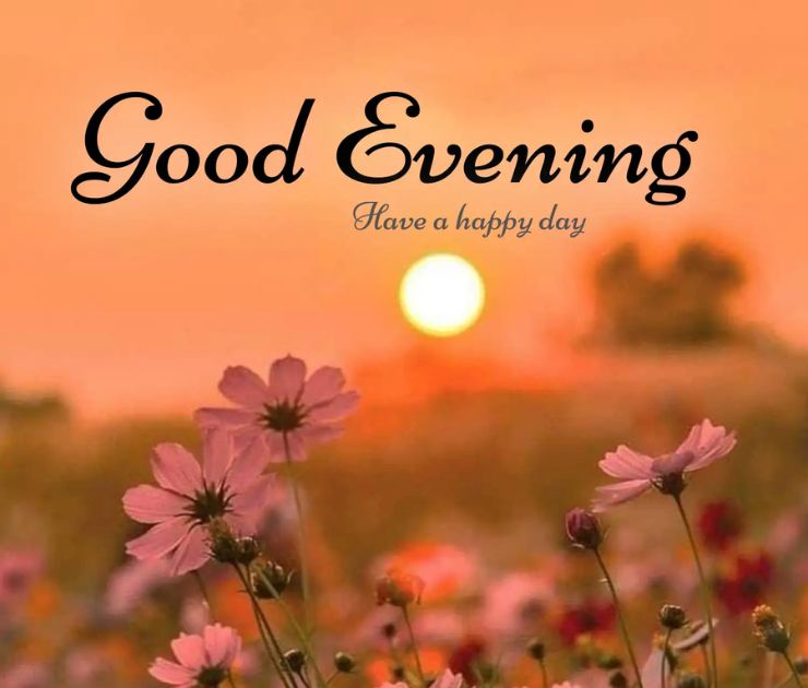 good evening photo
