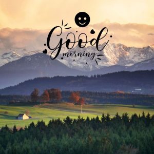 Hindi Good Morning Shayari