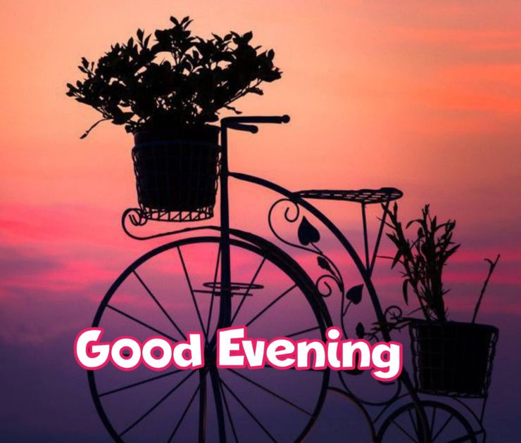 romantic good evening images