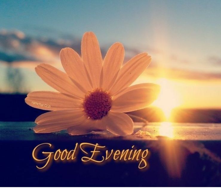 sweet good evening images